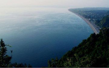 კალიფსო კვარიათი ინნ_4