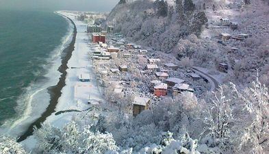 კალიფსო კვარიათი ინნ_6