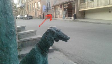 საოჯახო სასტუმრო სოფია_9