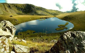 ნიკალა_3