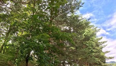 გეთჰაუზ_2