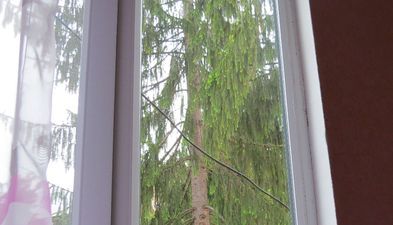 გეთჰაუზ_4