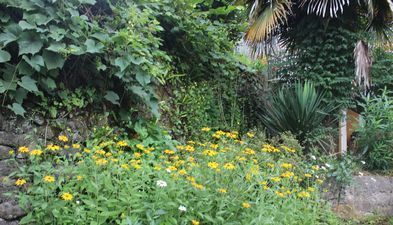 სახლი მახინჯაურში_4