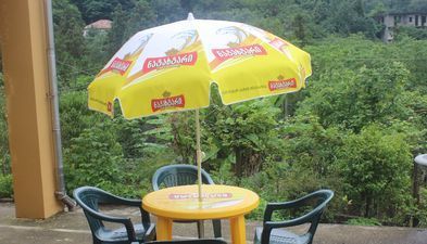 სახლი მახინჯაურში_5