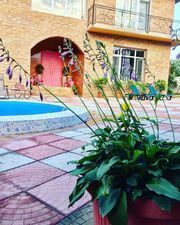 თათიკო_4