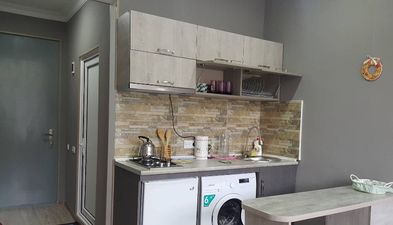 მთის ხეობა_5