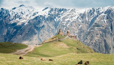 ფემილი_6