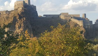 მწვანე სახლი_3