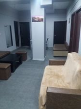 მიმინო_4