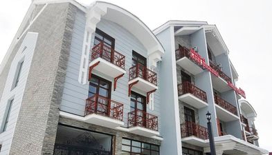 სამი პინგვინი_2