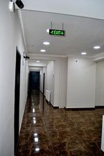 სამი პინგვინი_3