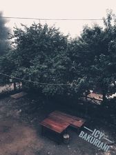 აისი ბაკურიანი_2