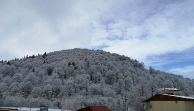 Дидвели Шале Леле 146_3