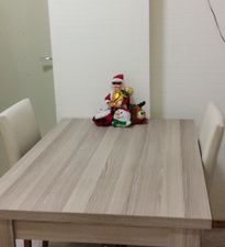 მარიშკას სახლი_7