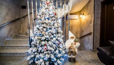 მილანო პალასი ბორჯომი_6