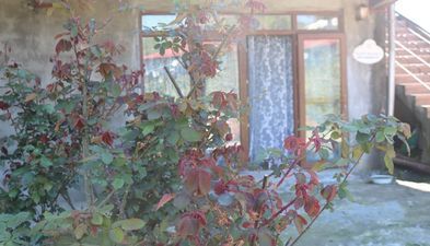 ელდარი_2