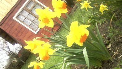 ფერადი კოტეჯები_4