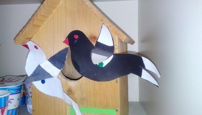 ფერადი კოტეჯები_6