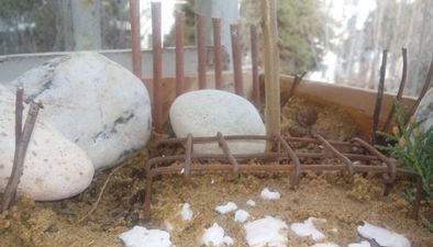 ფერადი კოტეჯები_7