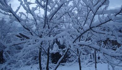 ფერადი კოტეჯები_8