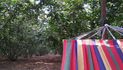 სახლი მარტვილში_2