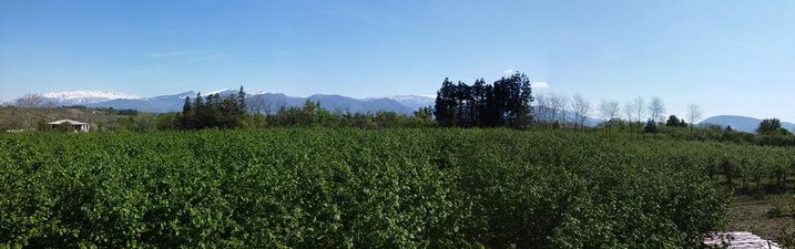 სახლი მარტვილში_3