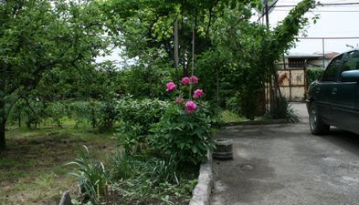 ველისციხე_3