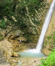 კოლხა ჯორჯია_8