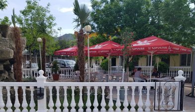 სელიკა (სერგო)_2