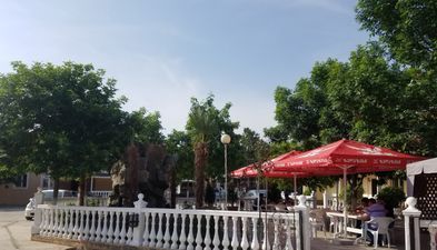 სელიკა (სერგო)_4