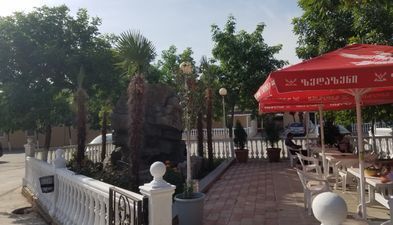 სელიკა (სერგო)_5