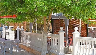 სელიკა (სერგო)_6