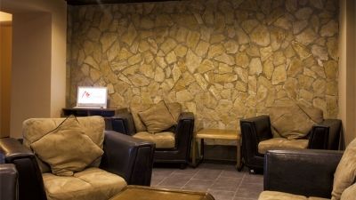 ალპინა_8