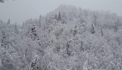 საოჯახო სასტუმრო საირმეში_2