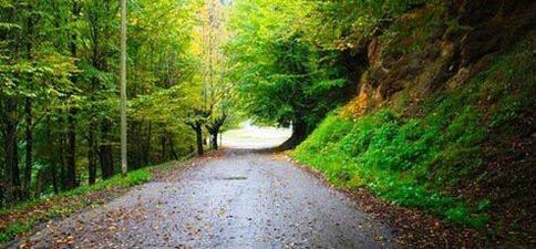 საოჯახო სასტუმრო საირმეში_7