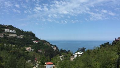 ორეინჯ ჰაუს_5