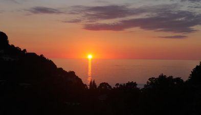 ორეინჯ ჰაუს_8