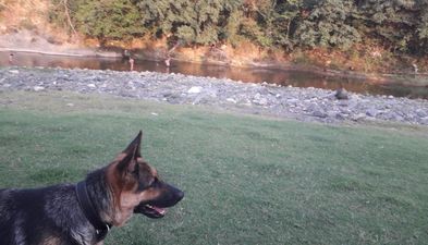 ძველი გელათი_4