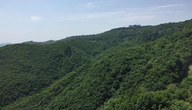 პანორამა_3