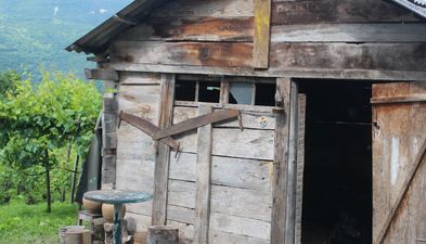 მერციცი_9