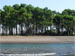 მრ. ჰოსტელ_5