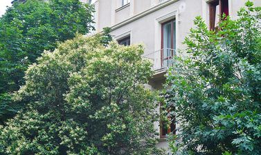 Exclusive Apartment in the Heart of Old Kutaisi_6