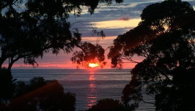 აპარტამენტი/2_5