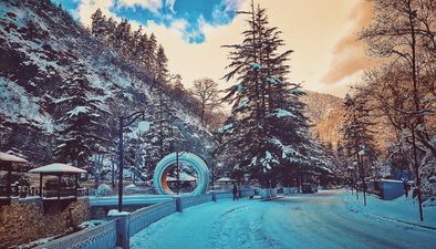 აპარტამენტი ტუტი_3