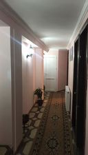 კობი ჰაუს_3