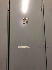 სავანე_2