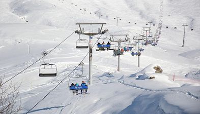 სავანე_7