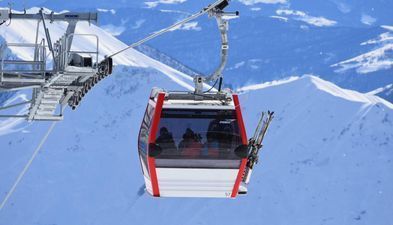 სავანე_9