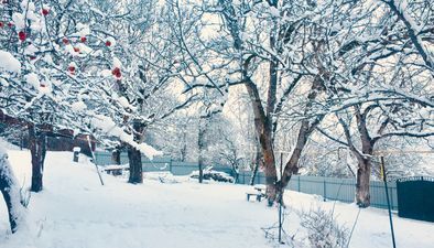 Ека гостевой дом_5