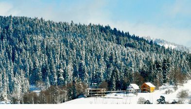 Коттедж Бакуриани Кохта_3